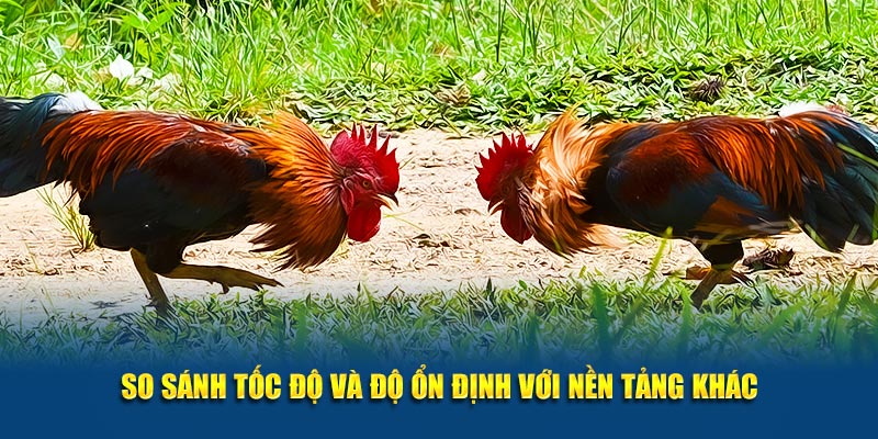 Xem Đá Gà Thomo Trực Tuyến Tại Jun88 – Cập Nhật Liên Tục 4 So sánh tốc độ với nền tảng khác
